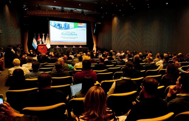 El sector ganadero tiene su gran cita anual en Rosario