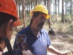 La industria forestal entrerriana, estancada desde hace 15 años