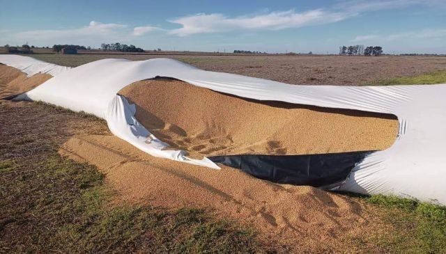 Proponen incorporar la figura del vandalismo rural en el Código Penal