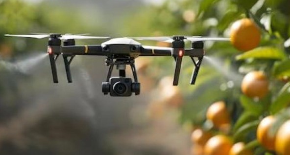 Impulsan acciones para el control de la mosca de los frutos