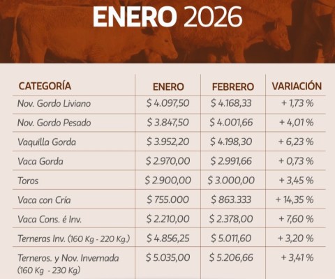 Pasó enero con valores positivos para la hacienda en los remates de La Ganadera
