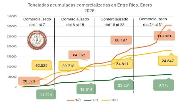 En enero se comercializaron más de 530.000 toneladas de granos en Entre Ríos