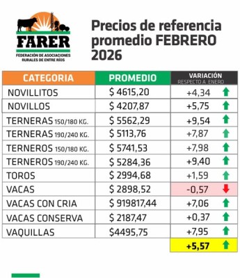 Se ratificó la recuperación del mercado ganadero con un incremento promedio del 5,57 %
