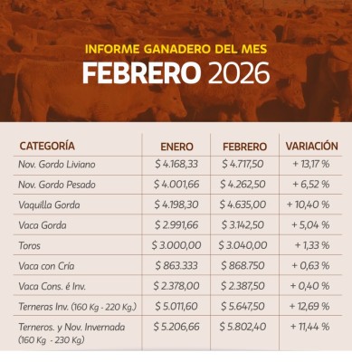 Pasó febrero con valores positivos para la hacienda en los remates de La Ganadera