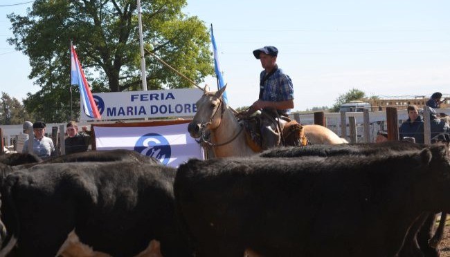 Etchevehere Rural cumplió 56 años y hoy lo festeja con el remate aniversario
