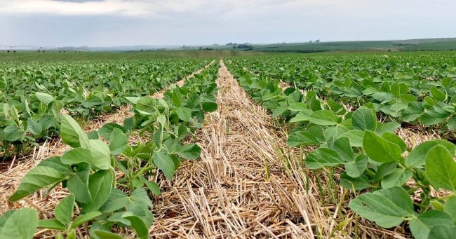 Están vigentes los créditos a valor producto para productores entrerrianos