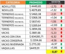 En mayo hubo una leve baja de los precios de la hacienda en Entre Ríos