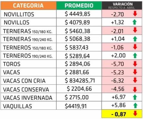En mayo hubo una leve baja de los precios de la hacienda en Entre Ríos