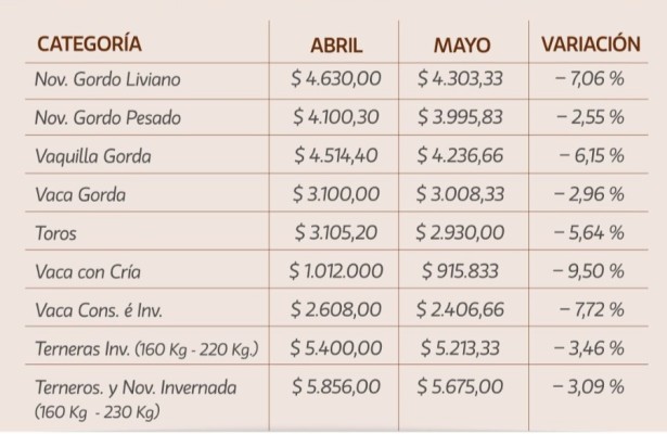 Mayo dejó precios en baja en los remates de La Ganadera