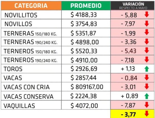 En junio los precios de la hacienda en pie siguieron en baja en Entre Ríos