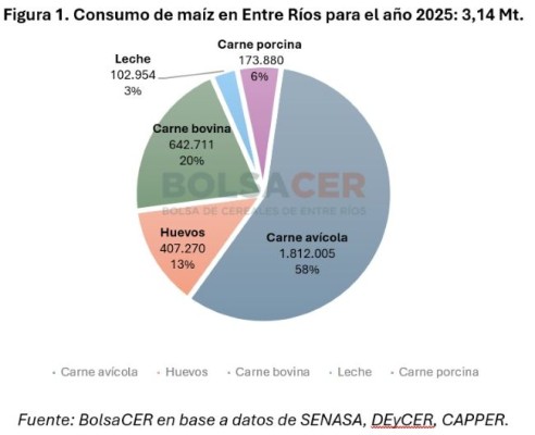 Una mirada integral sobre el consumo forrajero de maíz en Entre Ríos