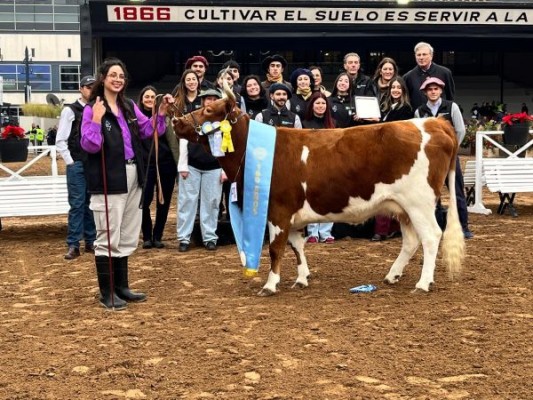 La Yoli volvió a consagrarse campeona de la raza Bovinos Criollos