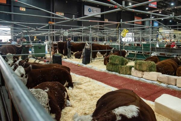 En Palermo reconocerán a cabañeros entrerrianos
