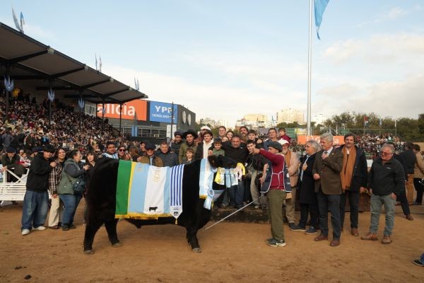 Rip, el Gran Campeón Macho de la raza Angus en Palermo 2026