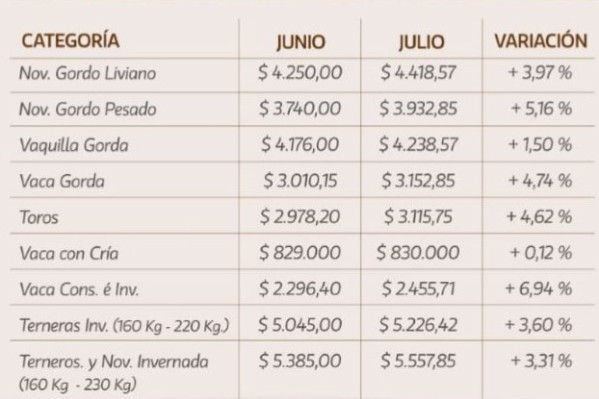 Tendencia positiva para la hacienda en los remates de La Ganadera en julio