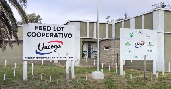 El Ipcva dará las claves del negocio de la carne Holando