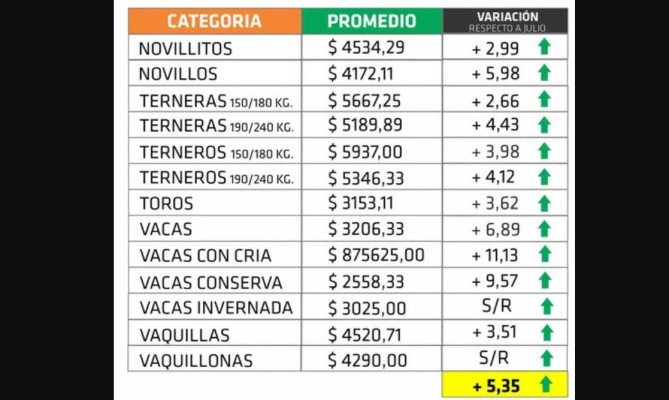 Agosto dejó una suba de precios de la hacienda superior al 5%