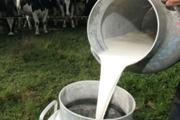 Datos oficiales: la producción y el consumo de leche crecieron más del 4%