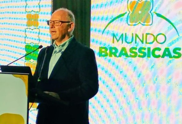 Las brassicas, una alternativa capaz de diversificar, innovar y generar valor