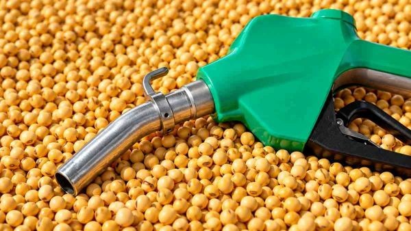 Biocombustibles: advierten sobre el impacto del proyecto de ley en las plantas regionales y proponen una alternativa