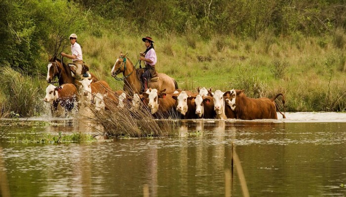 Recomiendan declarar la emergencia agropecuaria en Entre Ríos